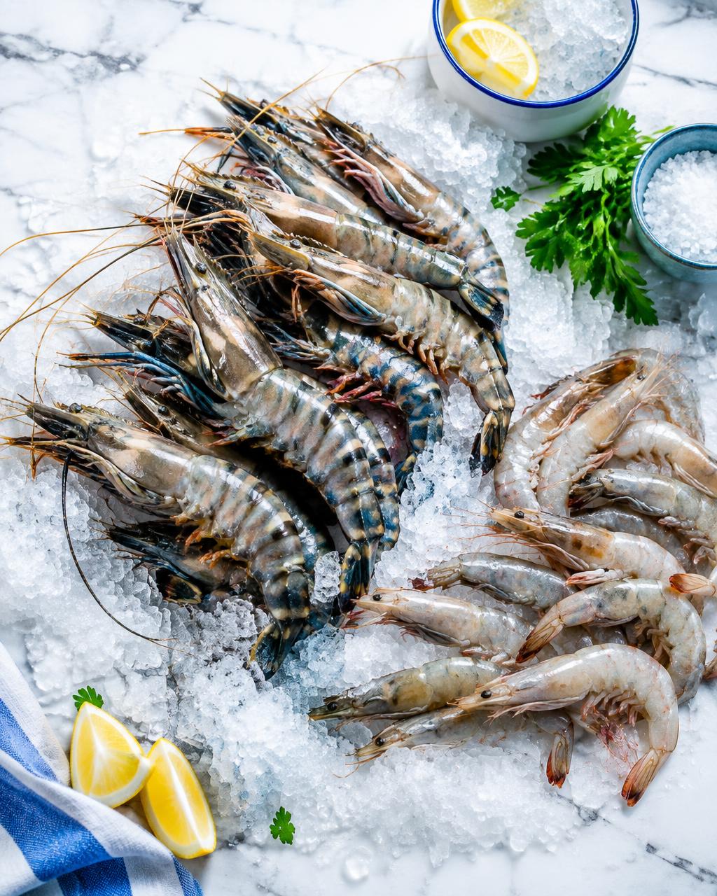 Prawns & Shrimp